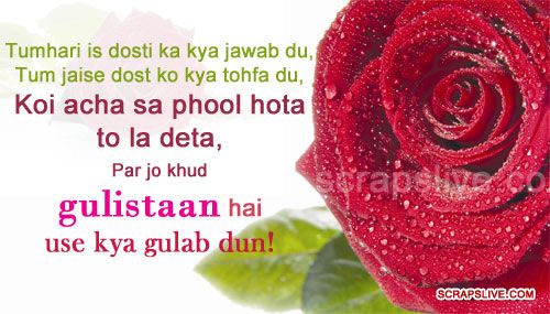 Friendship Shayari