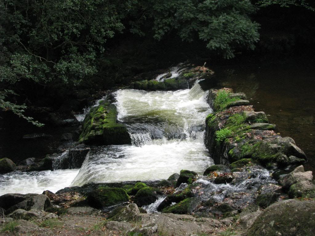 FINGLE2.jpg