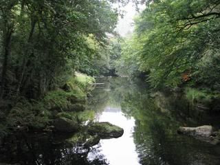 FINGLE6.jpg