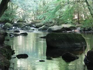 FINGLE7.jpg