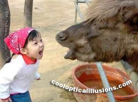funny kid pictures. funny kid yelling Pictures,