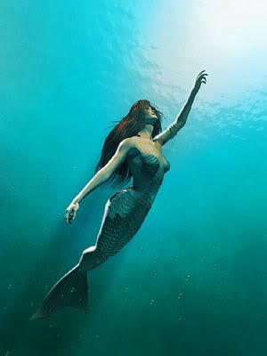 mermaid Pictures, Images and Photos