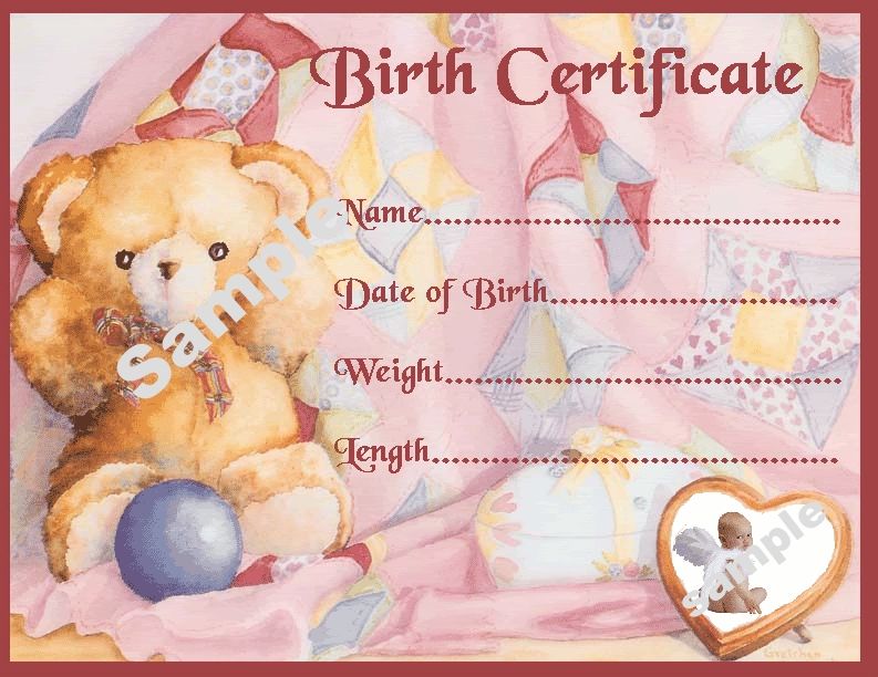 teddy with birth details