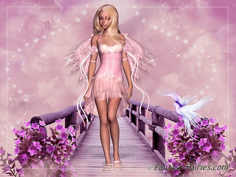 Pink Fairy