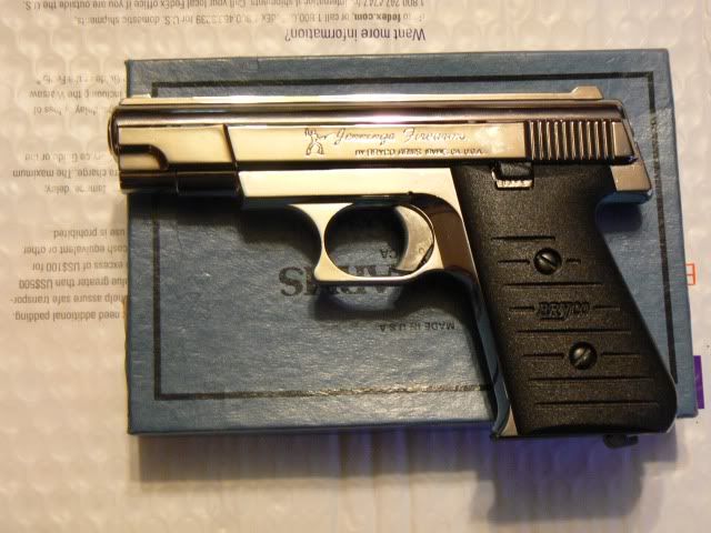 gun 380
