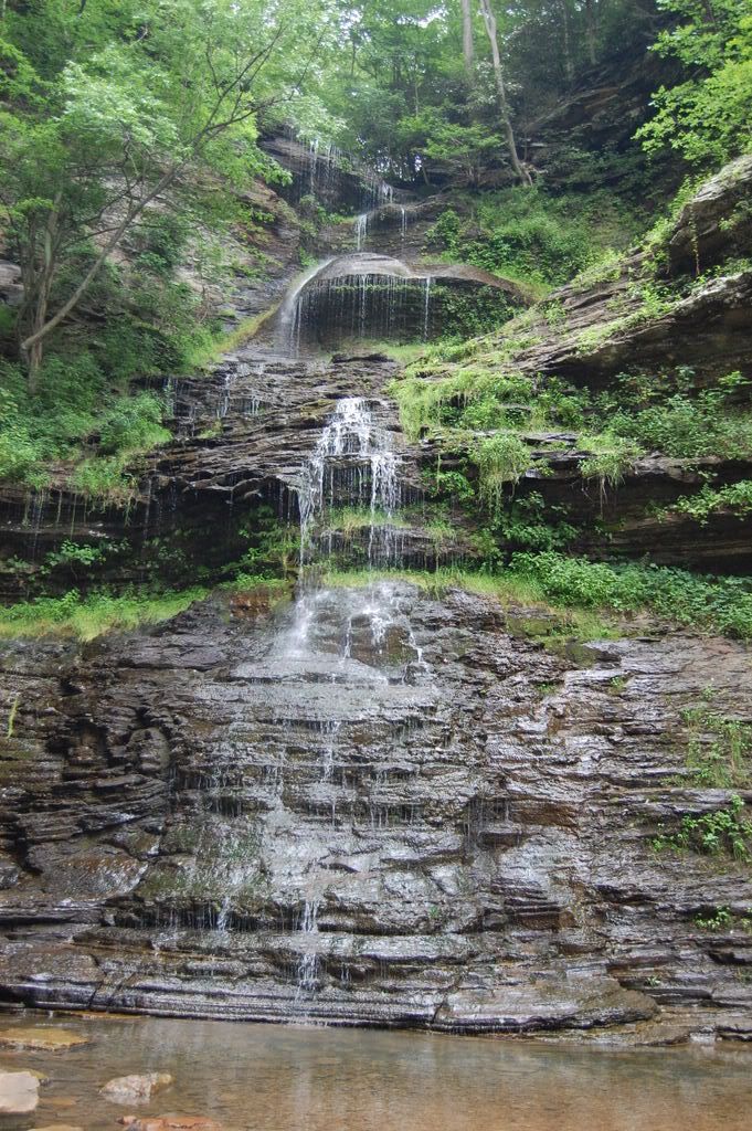 DSC_0323.jpg