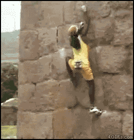 image: Wall_climber