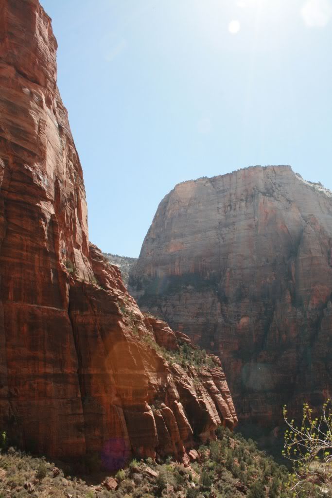 ZionNatlPark039.jpg