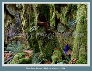 R28-1.jpg picture by forks101rvpark