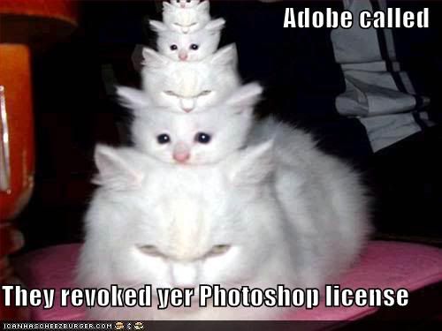 funny photoshop. funny-pictures-adobe-photoshop