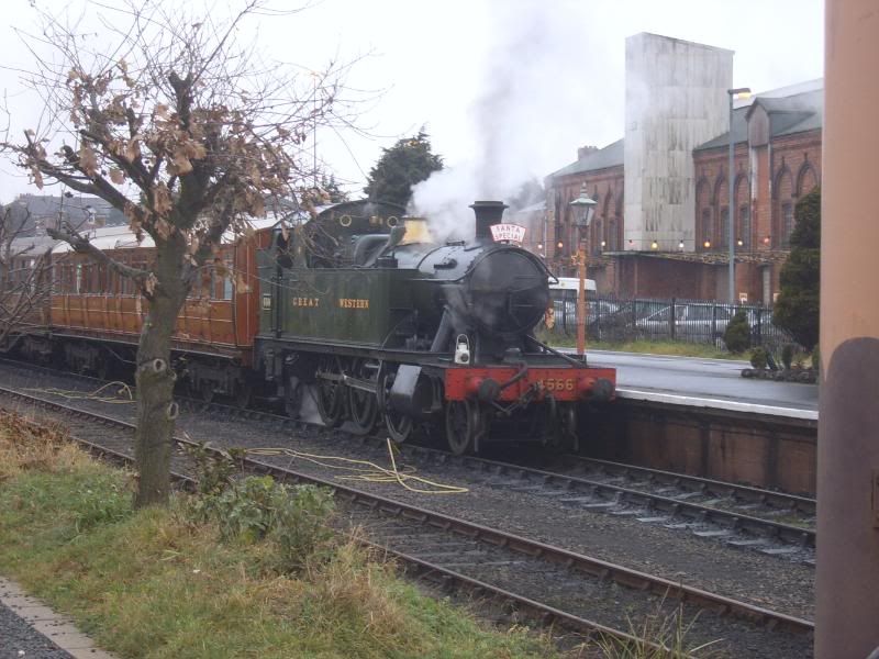 SUC51881.jpg