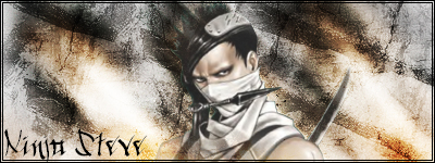 NinjaSteve.png