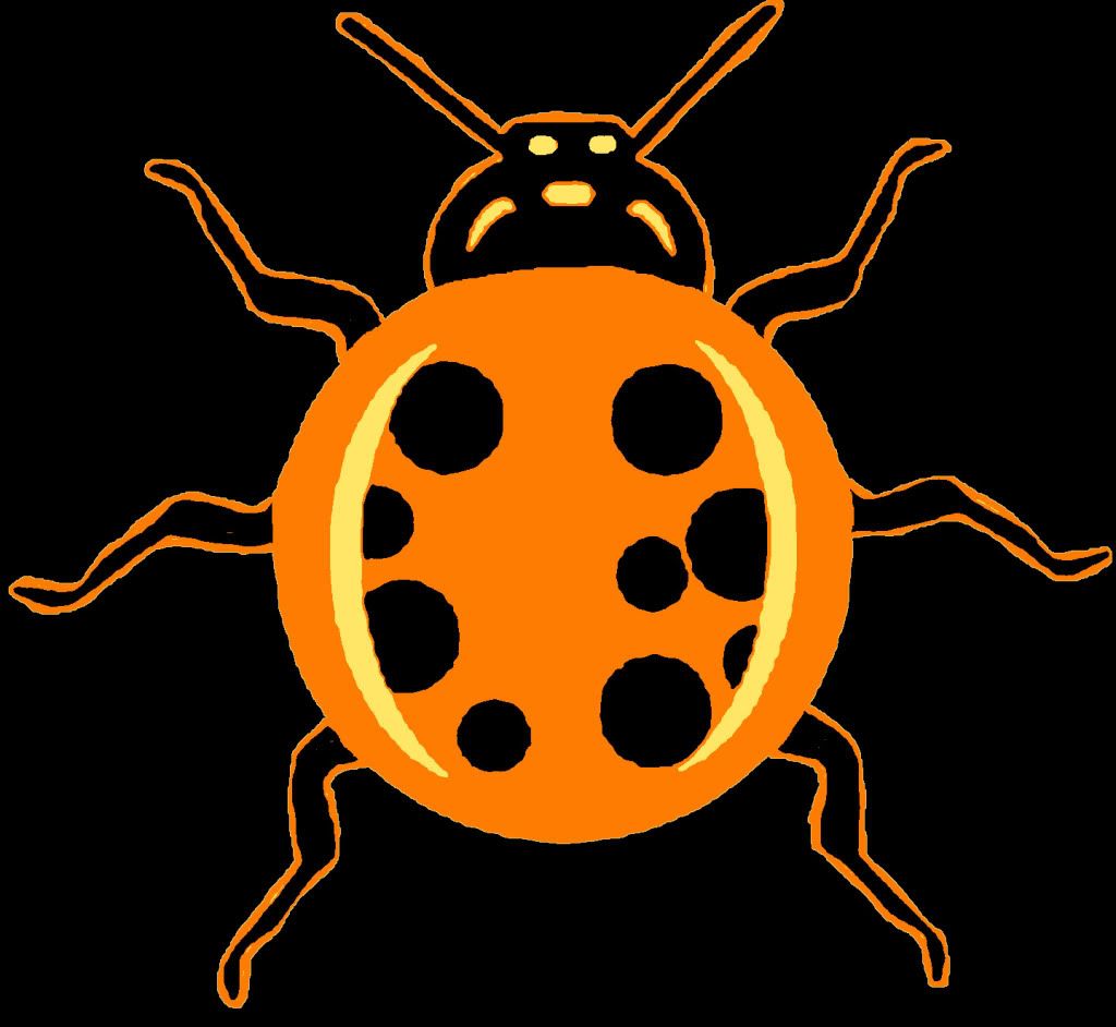 the-pumpkin-wizard-view-topic-ladybug