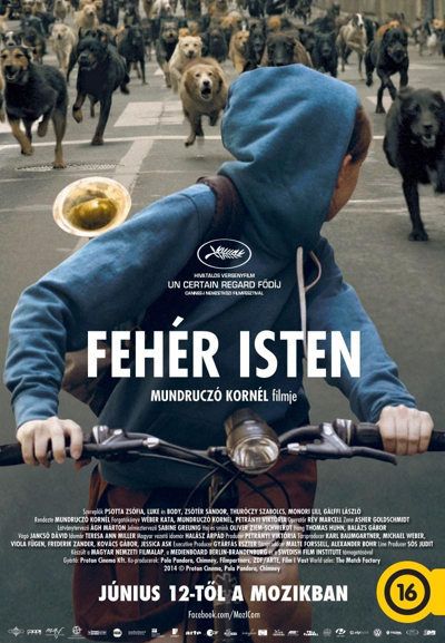 White God poster White God pelicula perros