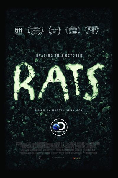 Rats Rats 2016