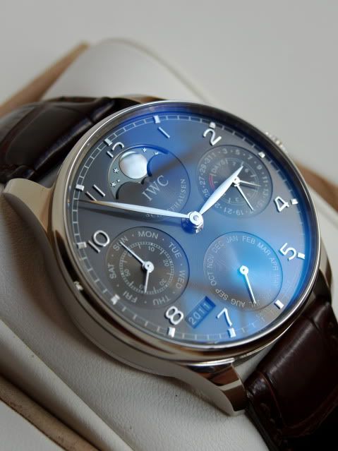 IWCPerpetual.jpg