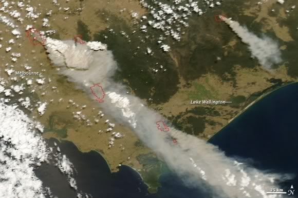 bushfires-feb-7-580x386.jpg
