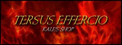 TersusEfferciobannerad.jpg