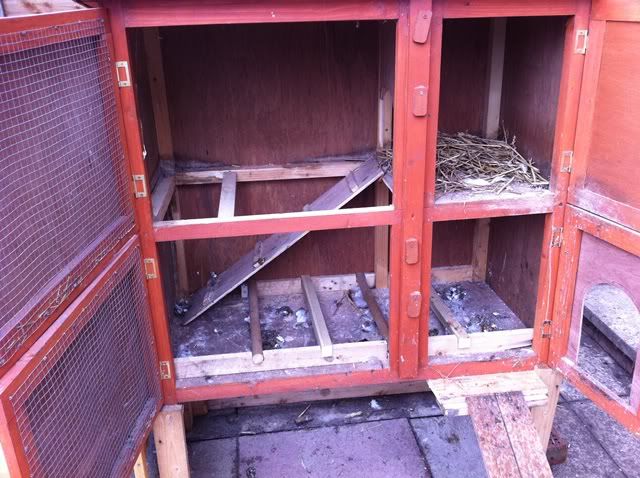 How to convert a rabbit hutch into a chicken coop.