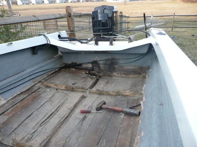P1000580.jpg