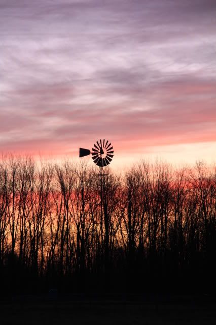 IMAGE: http://i267.photobucket.com/albums/ii317/rangerdvs205/BBC%20Shutterbug/Canon7d109.jpg