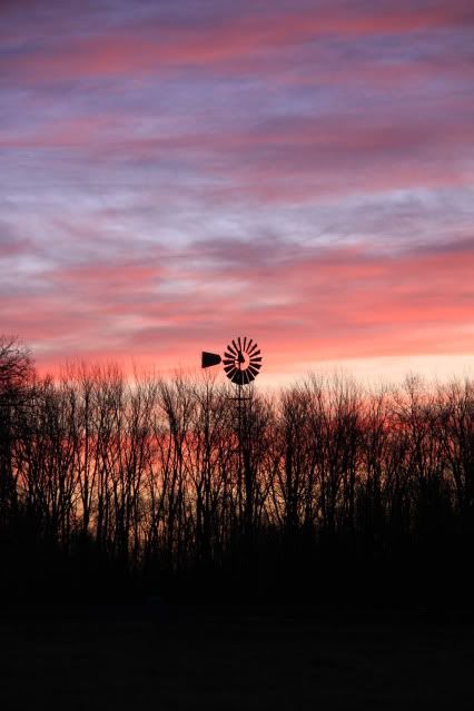 IMAGE: http://i267.photobucket.com/albums/ii317/rangerdvs205/BBC%20Shutterbug/Canon7d119.jpg