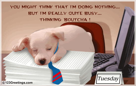 Tuesday.gif