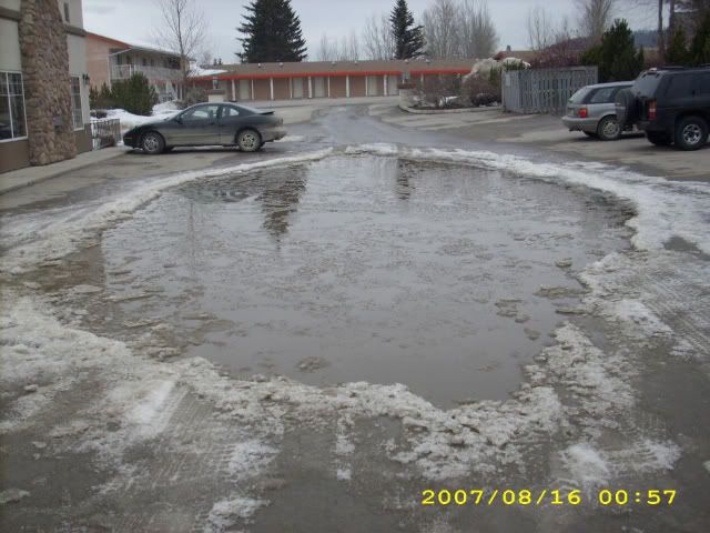 picgroup17002.jpg