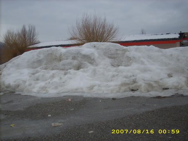 picgroup17003.jpg