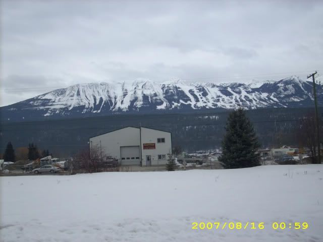 picgroup17004.jpg