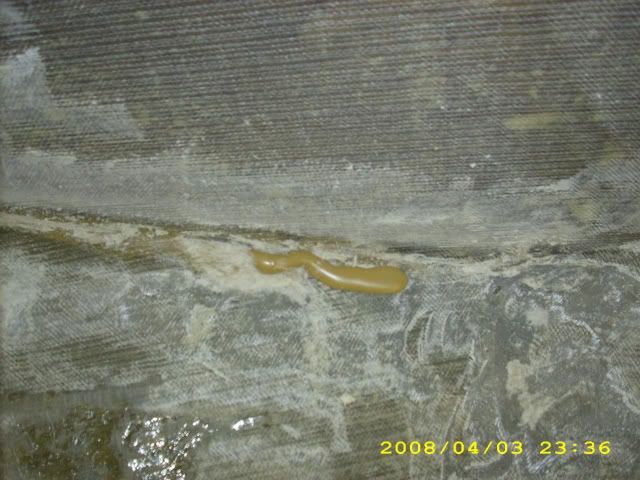 picgroup23018.jpg