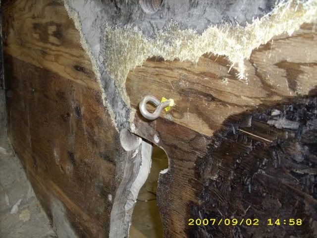picgroup4033.jpg