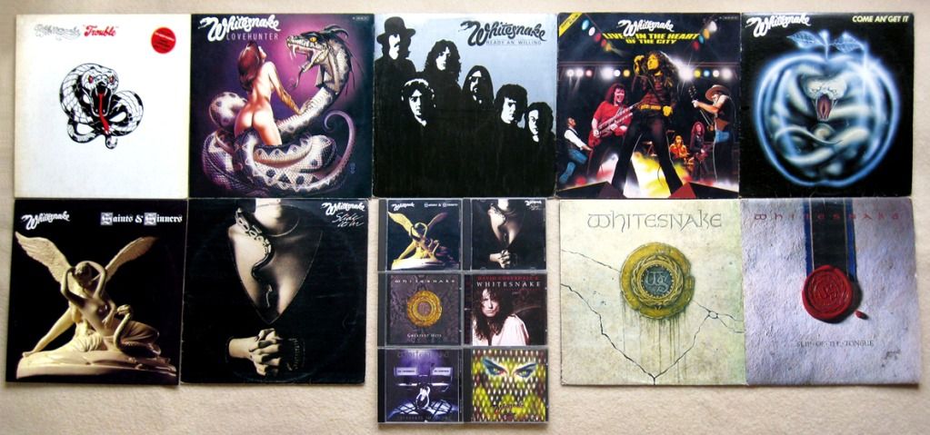 whitesnake_kolekcija.jpg