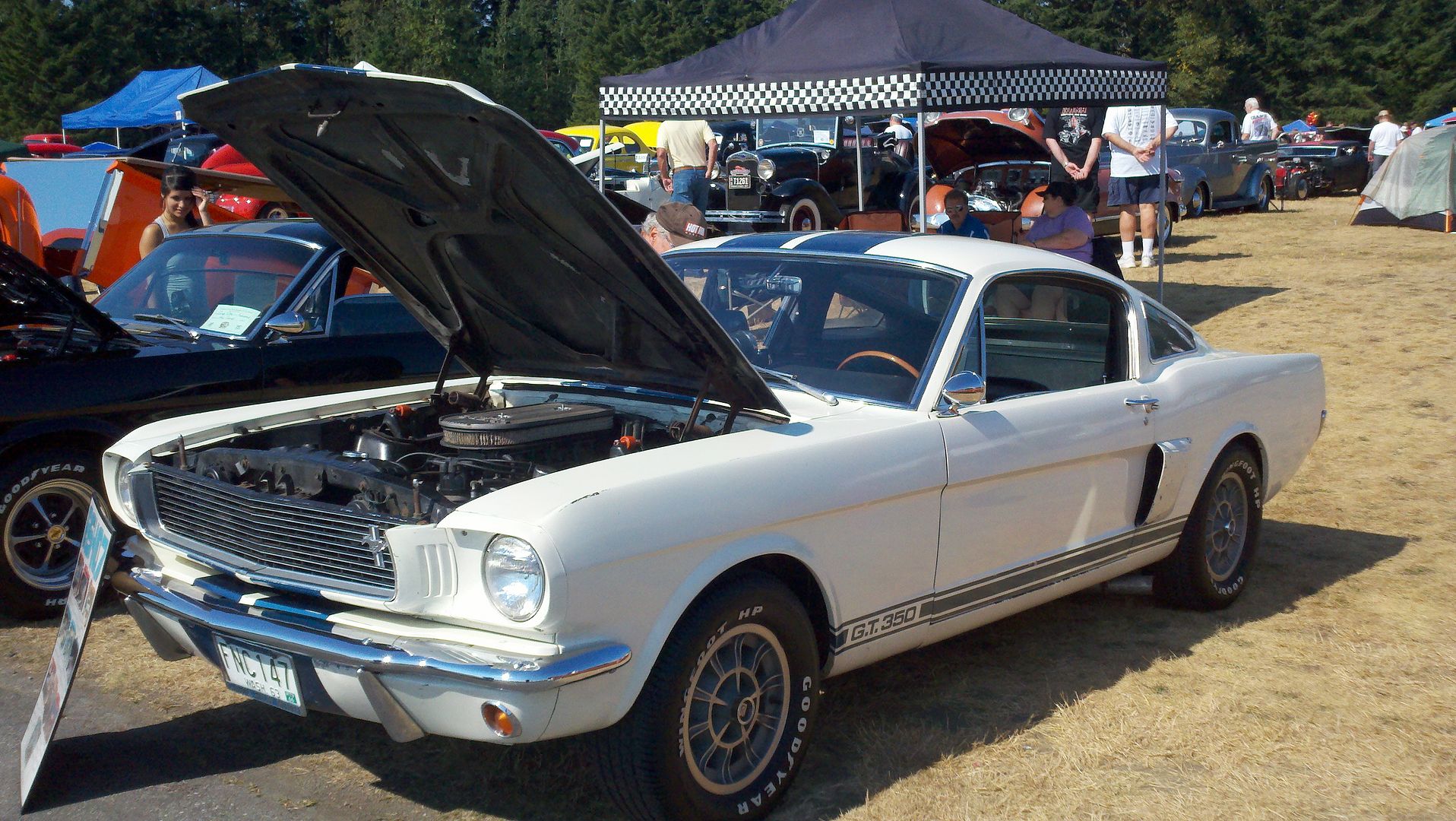 The Best Damned pictures of Arlington WA. Dragstrip reunion 2011. | The ...