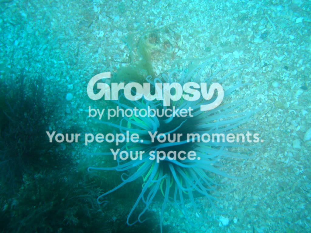 http://i267.photobucket.com/albums/ii283/bmb-63/DSC03318.jpg