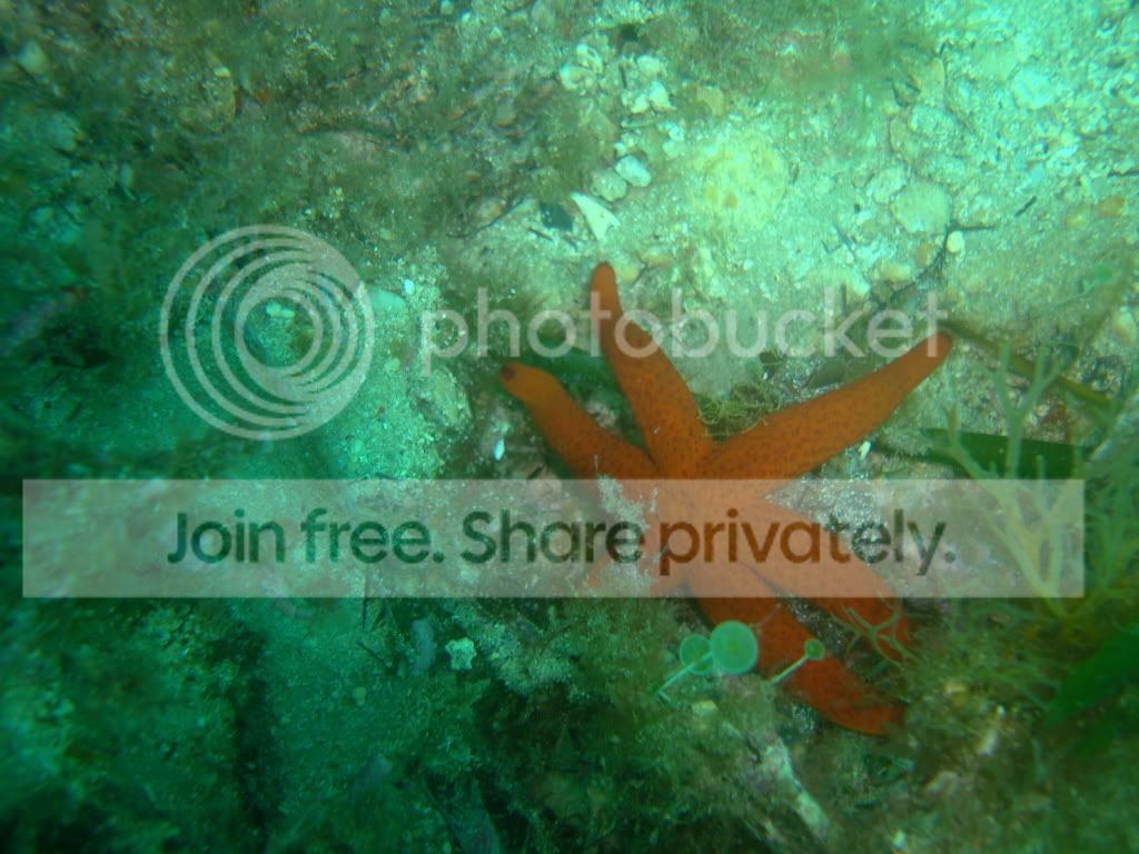 http://i267.photobucket.com/albums/ii283/bmb-63/DSC03392.jpg