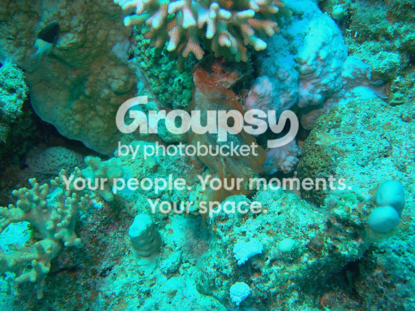 http://i267.photobucket.com/albums/ii283/bmb-63/DSC03983.jpg