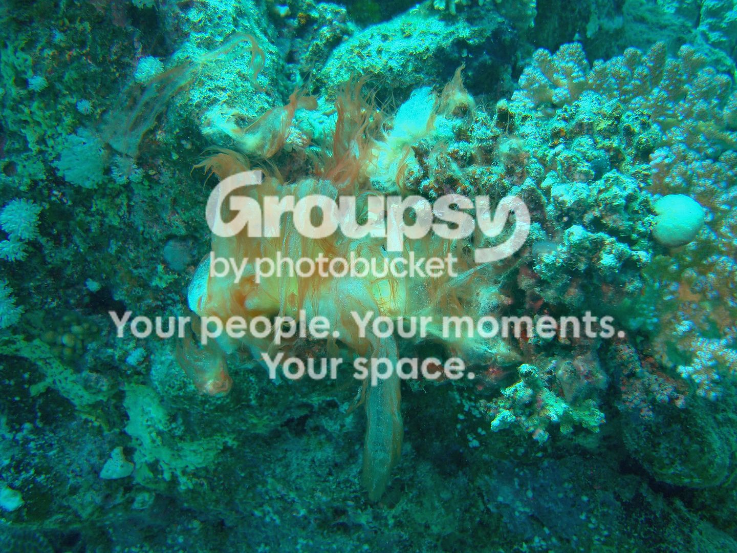http://i267.photobucket.com/albums/ii283/bmb-63/DSC03988.jpg