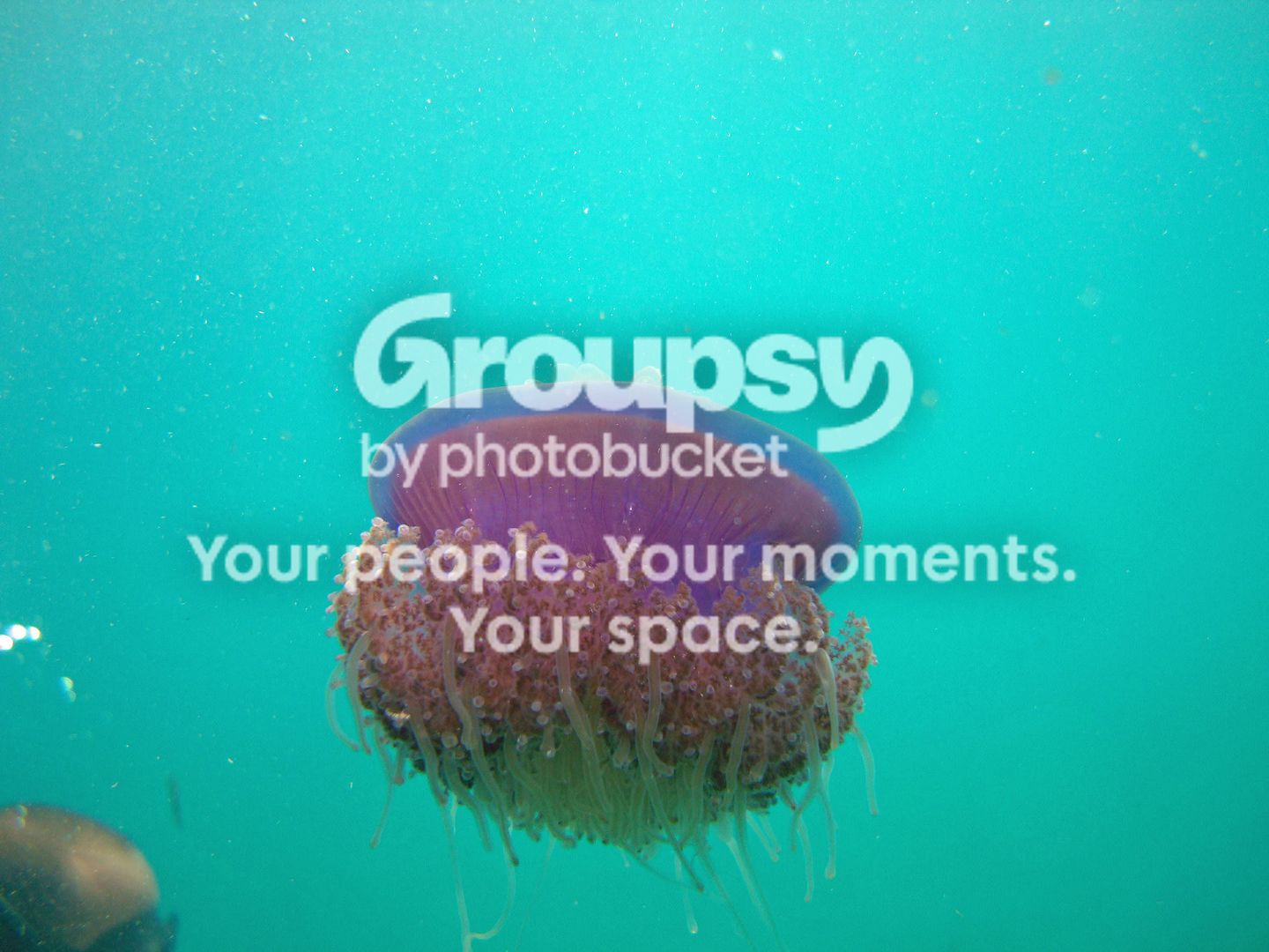 http://i267.photobucket.com/albums/ii283/bmb-63/DSC04238.jpg