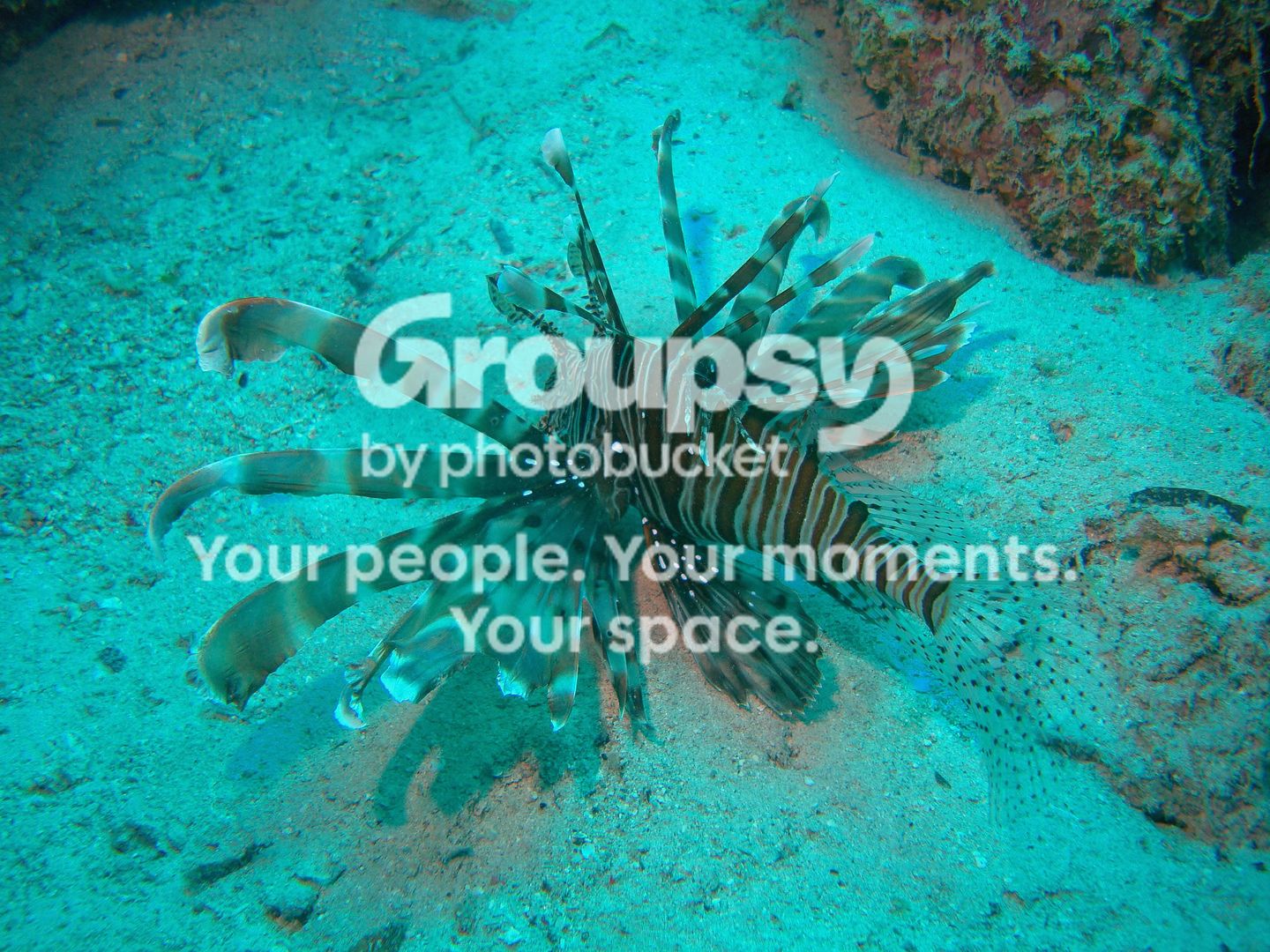 http://i267.photobucket.com/albums/ii283/bmb-63/DSC04307.jpg