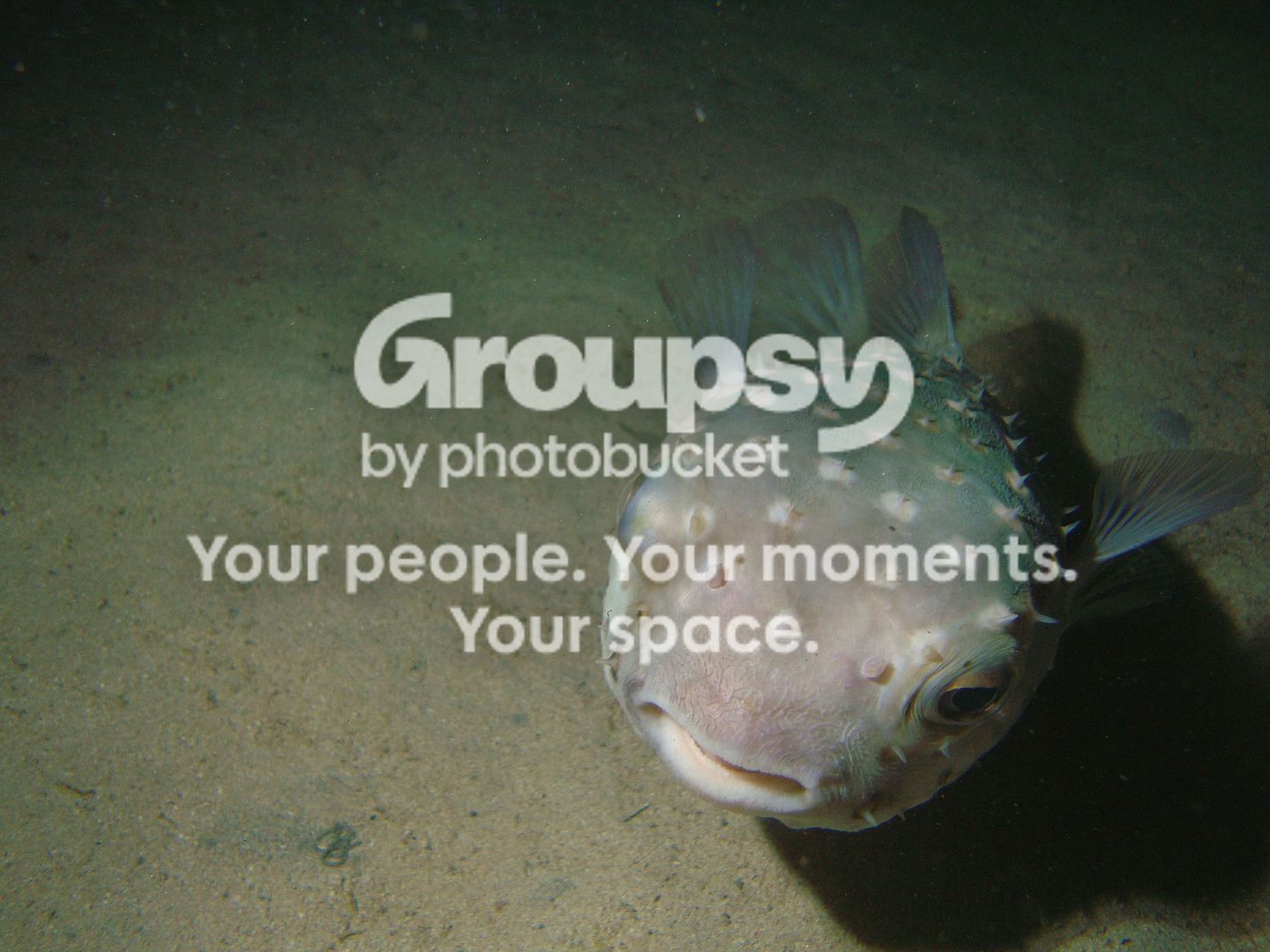 http://i267.photobucket.com/albums/ii283/bmb-63/DSC04389.jpg