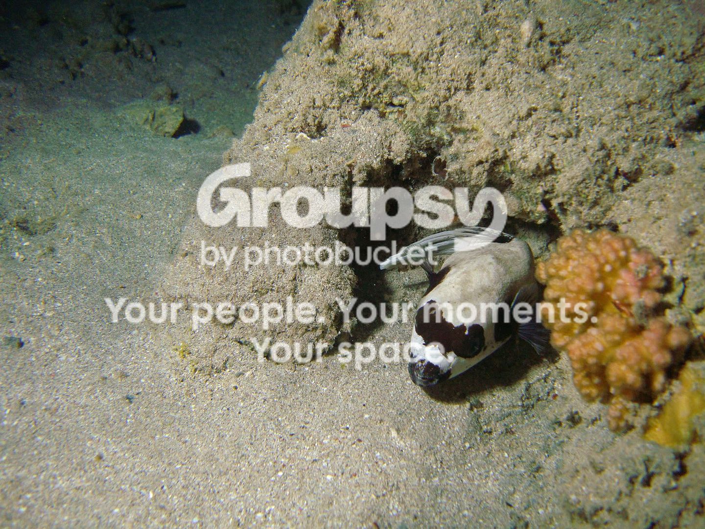 http://i267.photobucket.com/albums/ii283/bmb-63/DSC04394.jpg