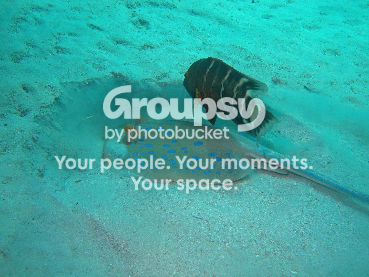 http://i267.photobucket.com/albums/ii283/bmb-63/DSC04409.jpg