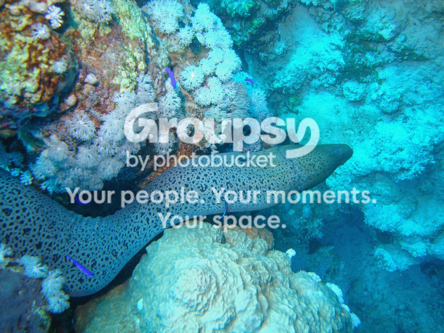 http://i267.photobucket.com/albums/ii283/bmb-63/DSC04486.jpg