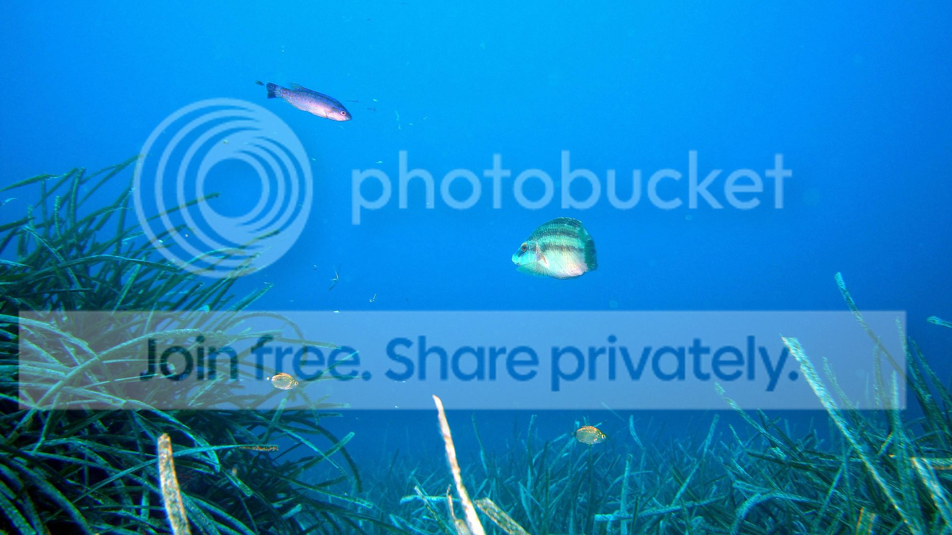 http://i267.photobucket.com/albums/ii283/bmb-63/DSC04913.jpg