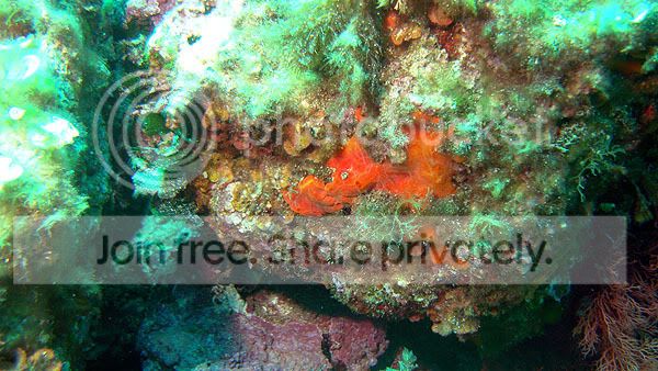 http://i267.photobucket.com/albums/ii283/bmb-63/DSC05130.jpg