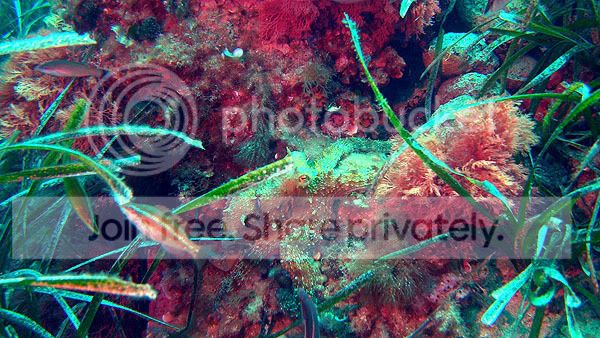 http://i267.photobucket.com/albums/ii283/bmb-63/DSC05187.jpg