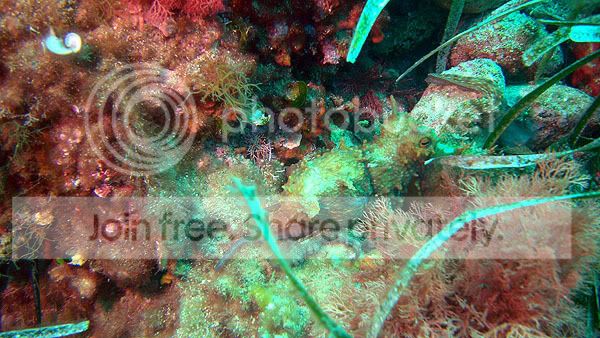 http://i267.photobucket.com/albums/ii283/bmb-63/DSC05191.jpg