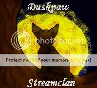 Duskpaw2.jpg picture by Forgivensinner12