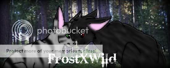 FrostXWild1-1.jpg picture by Forgivensinner12